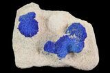 Brilliant Blue Azurite Sun Cluster On Rock - Australia #82672-1